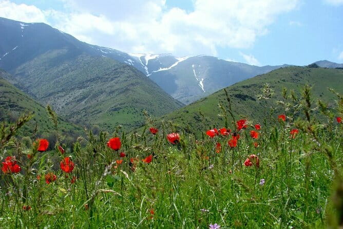 1 Day Tour to Shakhrisabz: Motherland of Amir Temur - Stop 3: Ak-Saray Palace Complex and the 1379 Portal Story