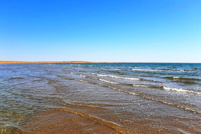 2 Days of Tour in Yurt Camp and Aydarkul - A 2-day desert loop from Samarkand or Bukhara, with real day structure