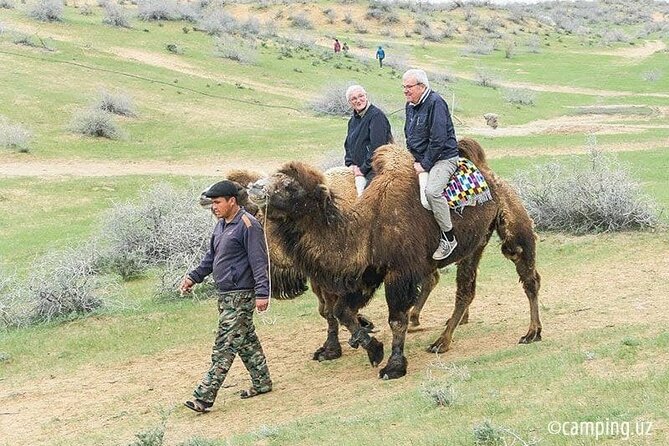 2 Days of Tour in Yurt Camp and Aydarkul - Yurt camp night: dinner, akyn music, and full privacy options