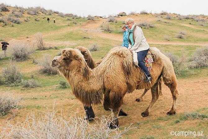 2 Days of Tour in Yurt Camp and Aydarkul - Day 2 morning camel ride and Rabat-i-Malik caravanserai