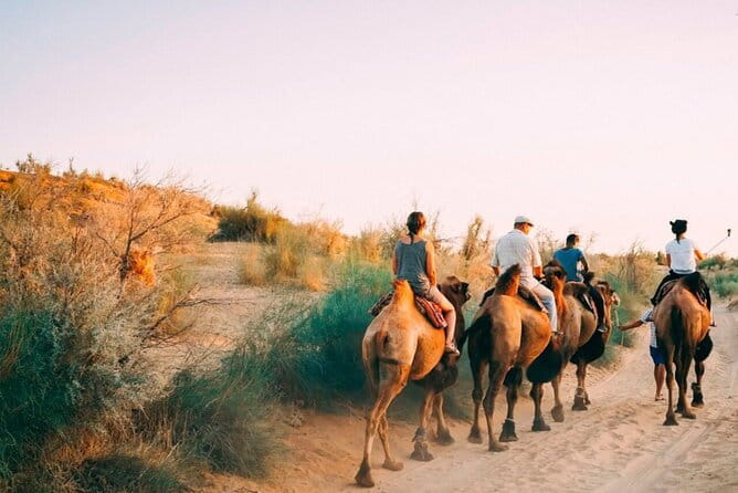 2 Days Private Safari Tour from Bukhara - Key highlights you’ll actually feel on this safari