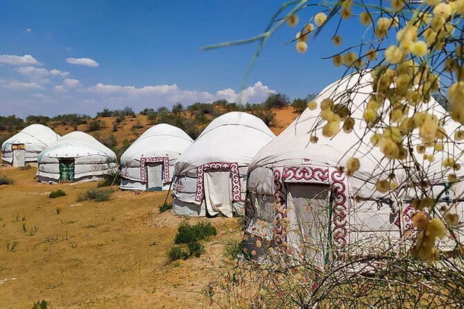 2 Days Private Safari Tour from Bukhara - Chashma stop: a quick palate cleanser on the way to the desert