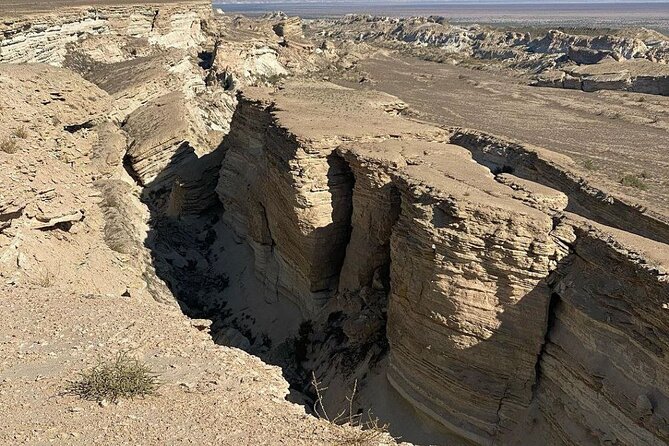 2 Days Private Tour To Aral Sea from Nukus. - Key highlights you should care about
