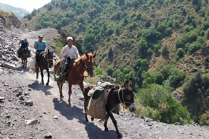 3-Day Chimgan Trekking Tour - Day 1: Melovoy to Takhta-Jaylov Saddle, Then Down Toward Marble River