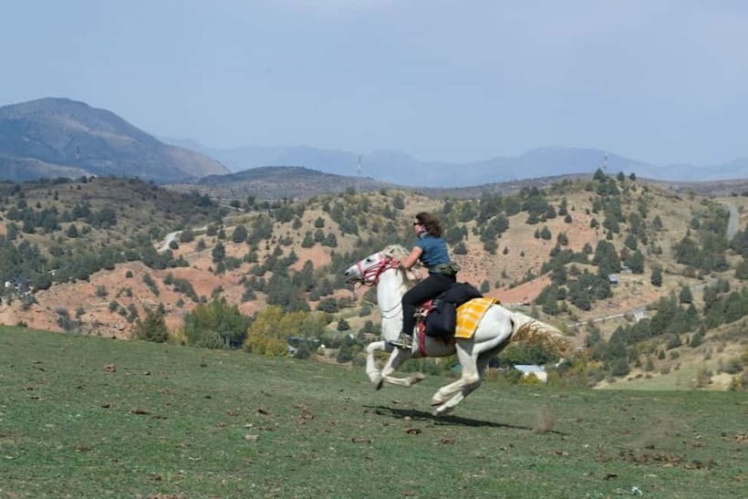 Amirsoy, Chimgan & Charvak Full-Day Adventure - Lunch, villages, and how the day stays local