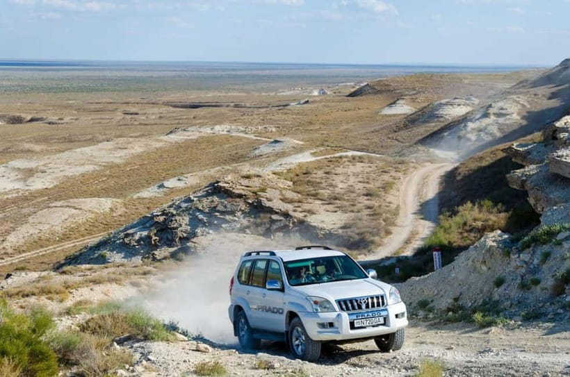 Aral Sea One Day Trip from Nukus. - Morning Drive to Muynak: Ship Cemetery, Museum, and Documentary Time