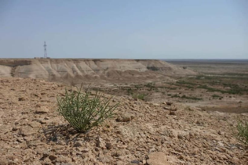 Aral Sea Tour from Nukus 1 night / 2 days - Day two caravanserai and plateau cuts on the way back