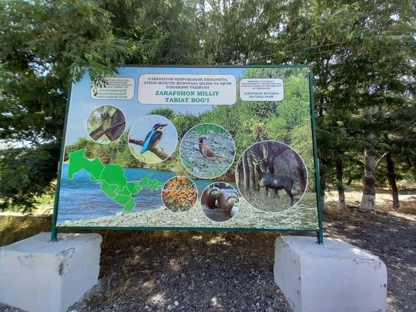 Bird Watching Tours in Samarkand - Why bird watching around Samarkand works so well