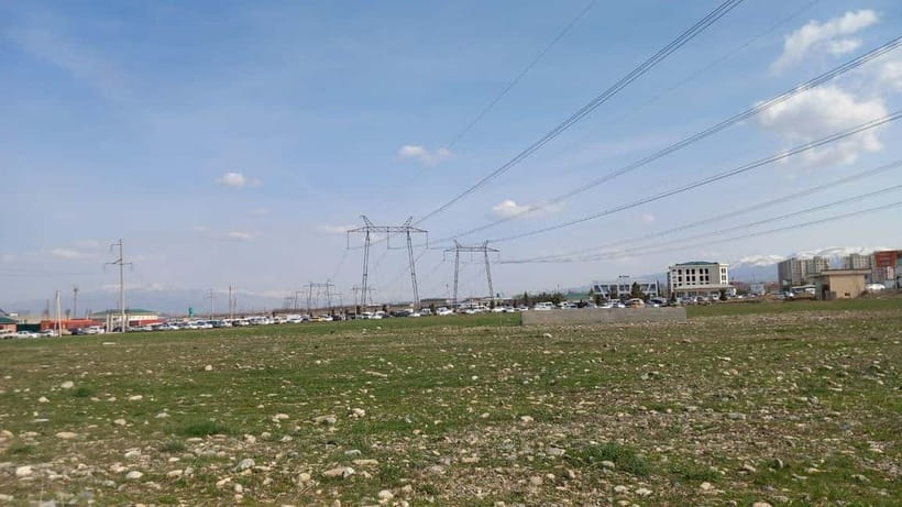 Bird Watching Tours in Samarkand - Rules you should take seriously (they protect the birds)