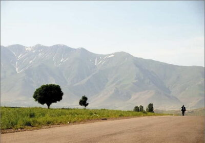 Bukhara-Shakhrisabz-Samarkand One Day Trip