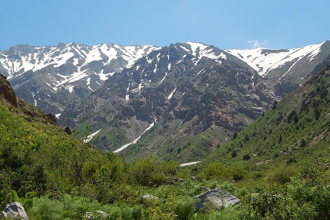 Day Tour to Shahrisabz of Amir Timur - Key highlights worth knowing before you go