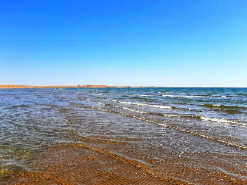 Desert Adventure from Samarkand: Yurt Camp & Aydarkul Escape - Aydarkul Lake: the cooling break (and the swim chance)