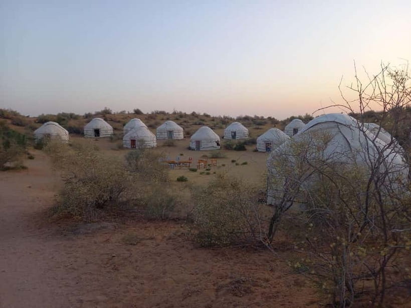 Desert Adventure from Samarkand: Yurt Camp & Aydarkul Escape - Transportation and guide support: what English-speaking actually means here