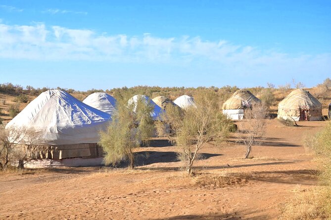 Desert yurt camp and Mountain tour - 3 days - Day 2: Lake Aydar birds, Nuratau Mountains with escort, and the Sentob homestay