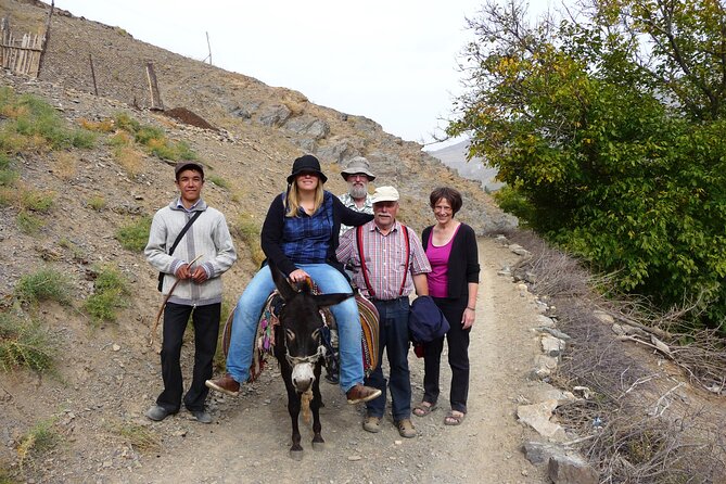 Desert yurt camp and Mountain tour - 3 days - How the day-to-day feels (and who will enjoy it most)