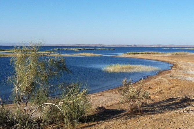 Desert Yurt Camp tour - 2 days (shared) - Aydarkul salt lake bird-spotting, the small detour that makes it feel special
