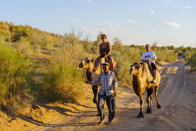 Desert Yurt Camp tour - 2 days (shared) - FAQ