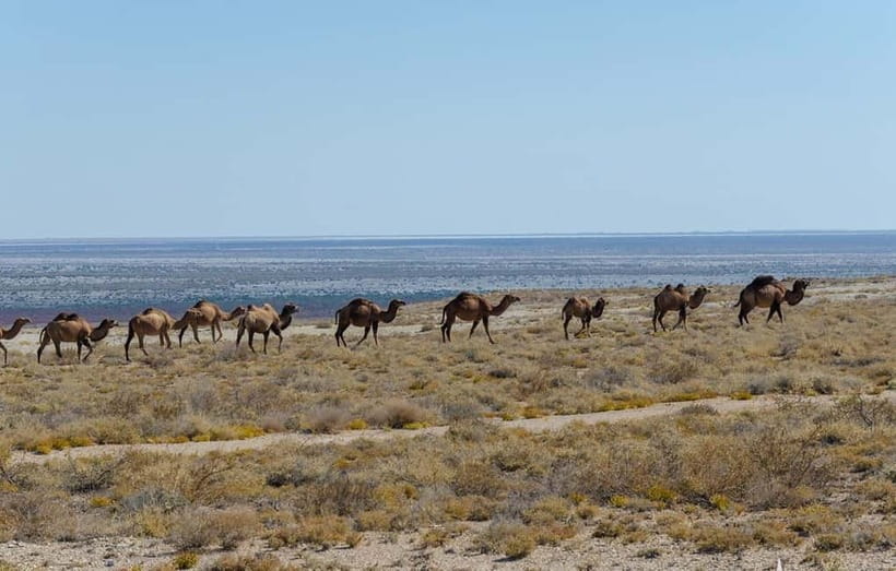 From Khiva To Aral Sea 2-Days One Night In Yurt Stay - Day 1 start: the Khiva to Muynak drive is the price of getting there