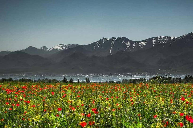 From Samarkand: Shahrisabz Day Trip & Mountain Pass Tour - Lunch planning on your own terms, including common lunch-stop styles
