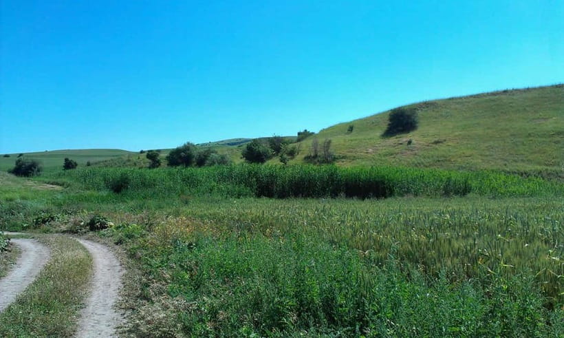 From Tashkent: Chimgan Valley Hiking Day Trip - How the trail choices affect your day more than you expect