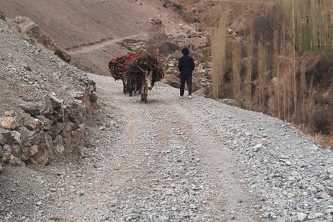 Full Day Private Tour in Seven Lakes from Samarkand - How the timing works: 8 to 10 hours, and why border time changes everything