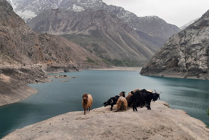 Full Day Private Tour in Seven Lakes from Samarkand - Price and value: what you get for $100, and the costs you should plan for