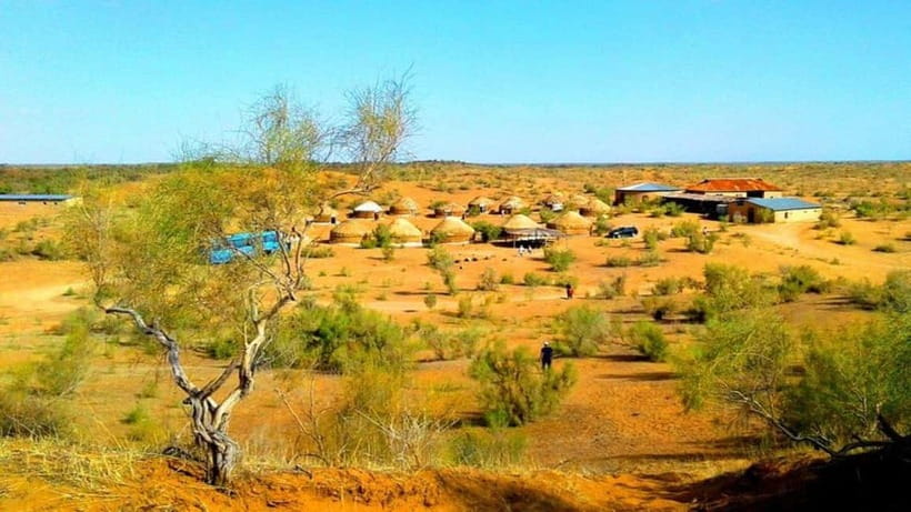 Kyzylkum Desert tour from Samarkand (1Night 2 Days) - Staying in a yurt camp: simple comfort you should plan for