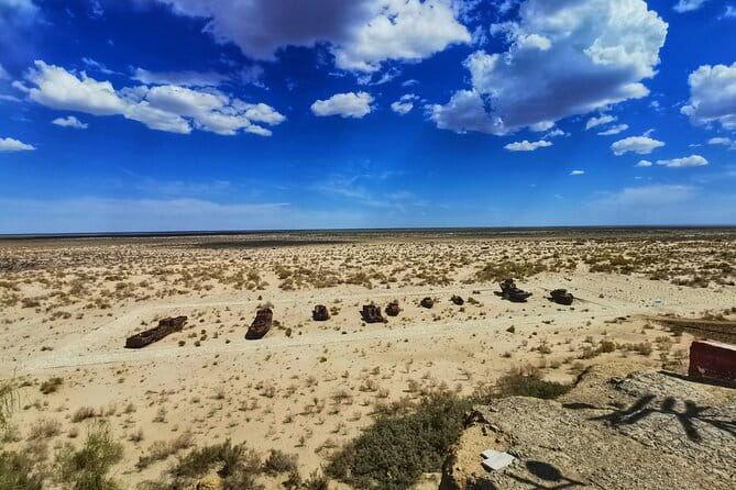 Private Daytrip to Muynak and Nukus - Price and value: $299 per group, plus realistic museum costs