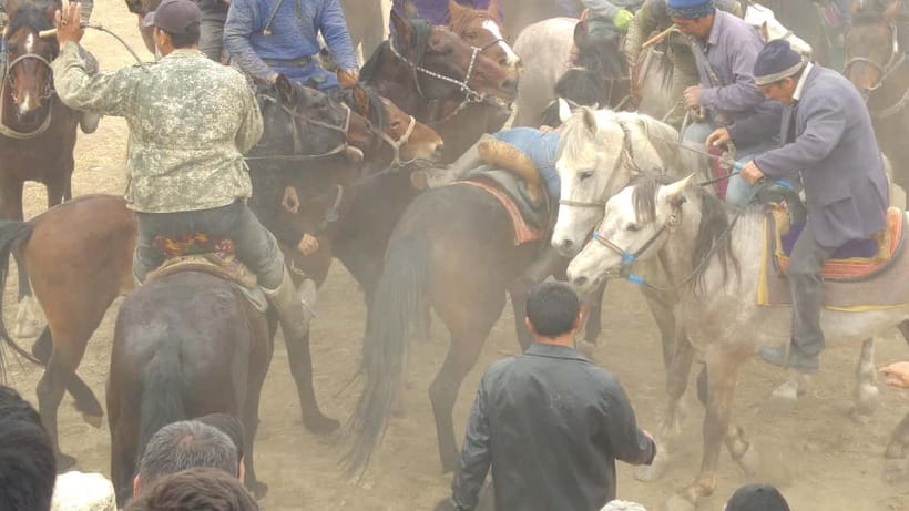 Samarkand: Uloq-Kopkari (Buzkashi) Game Day Tour - Key things I found especially worth your attention