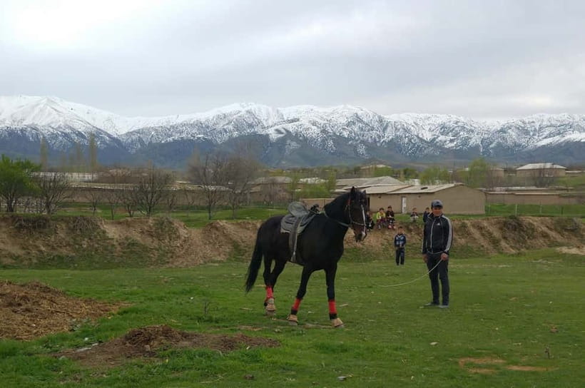 Samarkand: Uloq-Kopkari (Buzkashi) Game Day Tour - How the game works, and what to watch when it turns into a moving knot