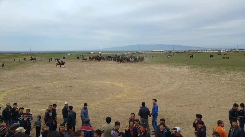 Samarkand: Uloq-Kopkari (Buzkashi) Game Day Tour - Should you book this Samarkand buzkashi day tour?