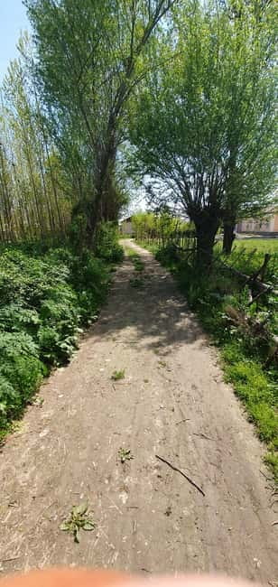 Samarkand: Village Tour with Plov Cooking Class & Home Visit - From Hotel Pickup to Village Courtyards in about 45 Minutes