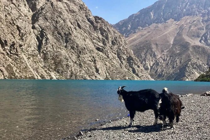 Seven Lakes Panjakent: One-Day Adventure from Samarkand - Seven Lakes in the Fann Mountains: What You Actually See
