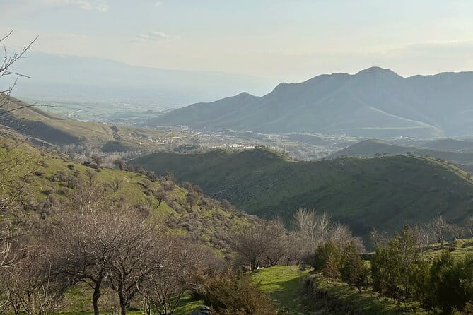 Shakhrisabz Private Day Tour from Samarkand - Takhtakaracha Pass viewpoints: the road trip portion that you will actually remember