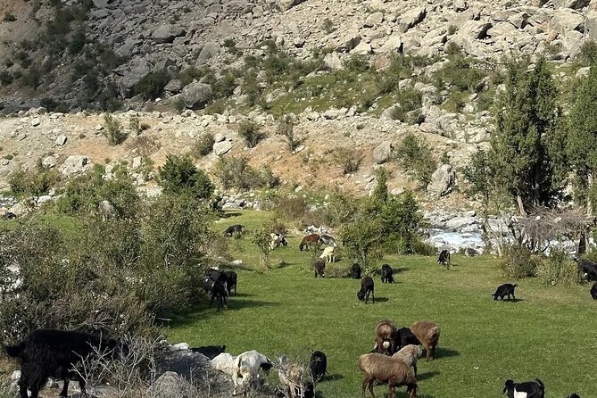 Tadjikistan 7 Lakes Day Trip from Samarkand with Lunch - Key highlights you’ll care about