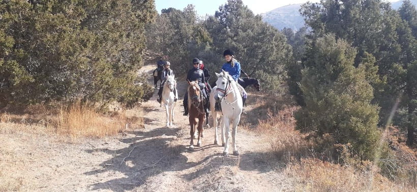 Tashkent: 3-Day Horseback Riding Tour in Chimgan Mountains - Key things to know before you go