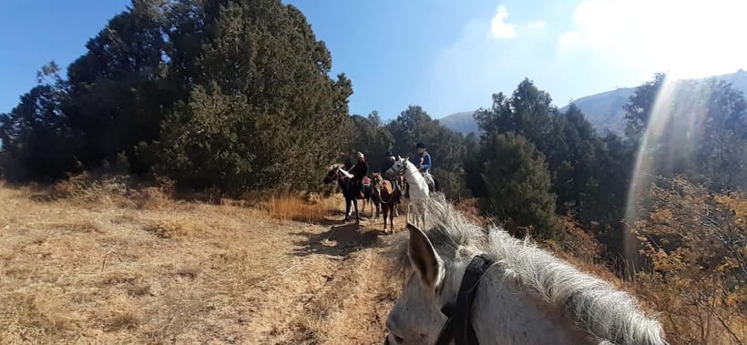 Tashkent: 3-Day Horseback Riding Tour in Chimgan Mountains - Why this Chimgan horseback tour feels more like mountain life than a ride