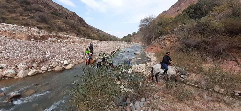 Tashkent: 3-Day Horseback Riding Tour in Chimgan Mountains - Day 2: Chet Kumbel Pass, a bee farmer shelter, and cantering in an alpine meadow
