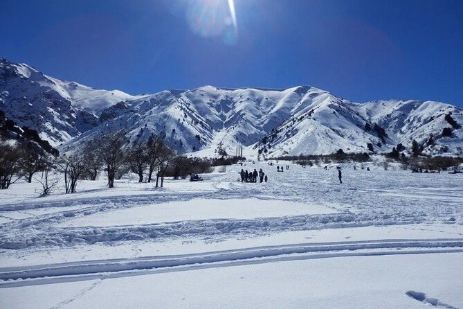 Tashkent Mountain Tour Amirsoy with Transport - How the Included Transport Changes Your Day