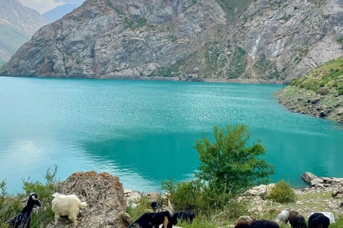 Tashkent Tour at Amirsoy, Chimgan Mountains and Charvak lake - Key highlights that make this day trip worth your time