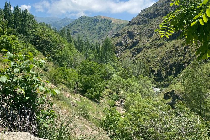 Tashkent Tour at Amirsoy, Chimgan Mountains and Charvak lake - Price and value: how the $40 fits, and what to budget on top