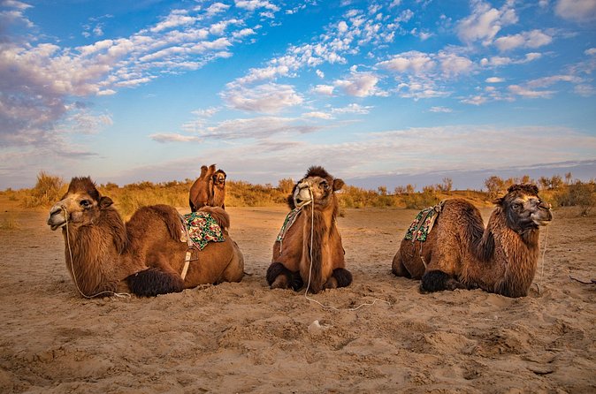 Transfer from Khiva to Bukhara by Fortresses - Price and Value: Why $299 Per Group Can Make Sense