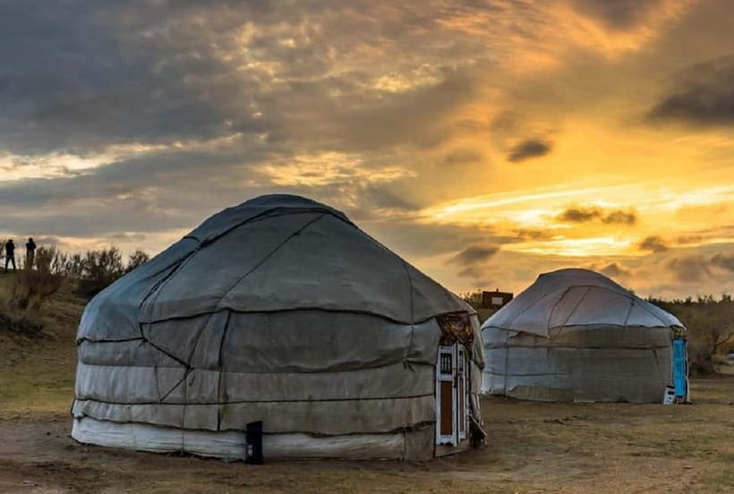 Yurt Camp Tour with Night from Bukhara - Price and Logistics: Is $215 Worth It?